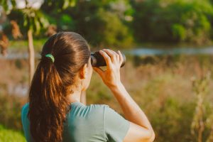 צפרות ופנאי