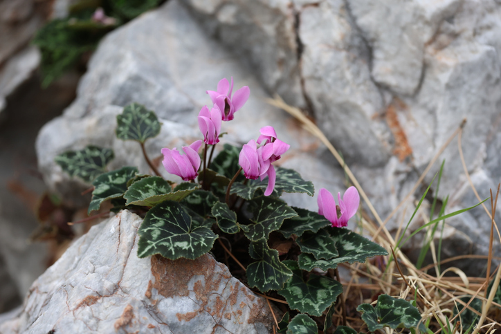 טיולי חורף | מוזיאון הילדים חולון